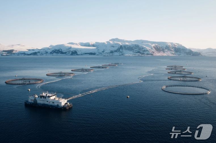 세계 연어 시장의 표준..."블루푸드테크 미래 이끈다" - 뉴스 썸네일 이미지