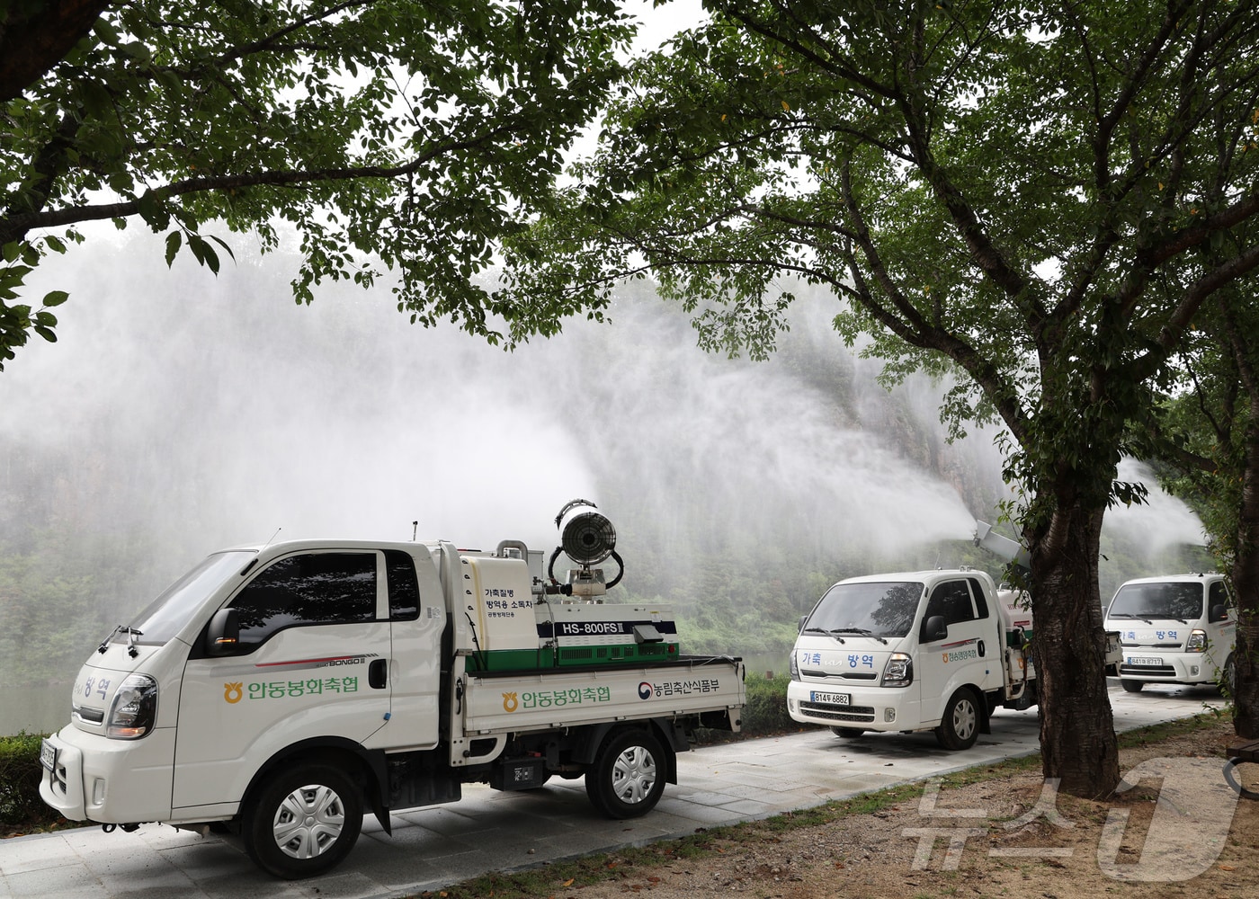 경북도는 7일 동절기 가축전염병 발생 위험이 높아짐에 따라 소독제, 해충 구제제, 멧돼지 기피제 등 방역 약품을 축산농가와 관련 시설에 배부했다.&#40;경북도 제공. 재판매 및 DB금지&#41; /뉴스1