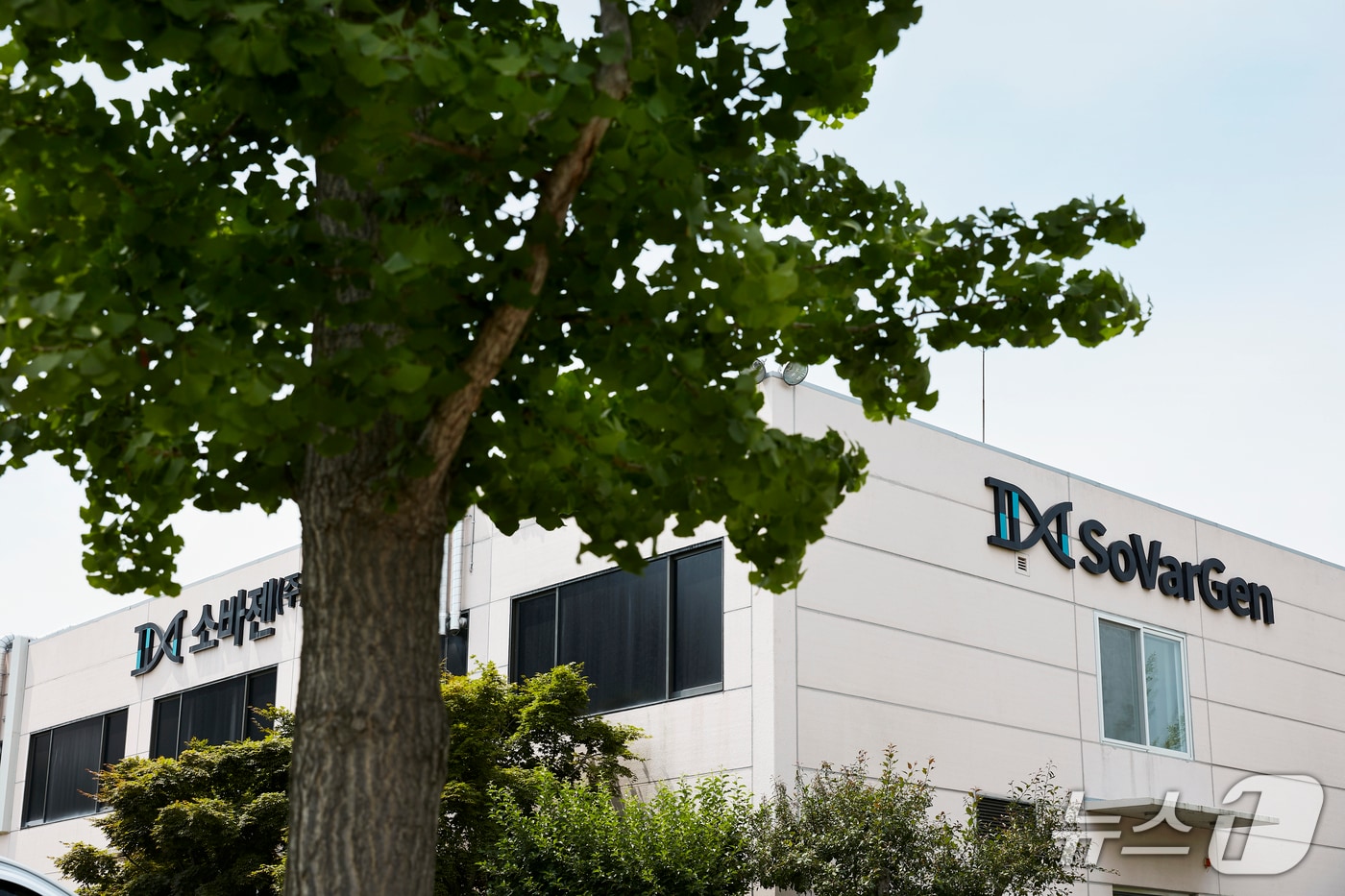 대전 한국과학기술원(KAIST) 문지캠퍼스 소바젠 전경. / 뉴스1