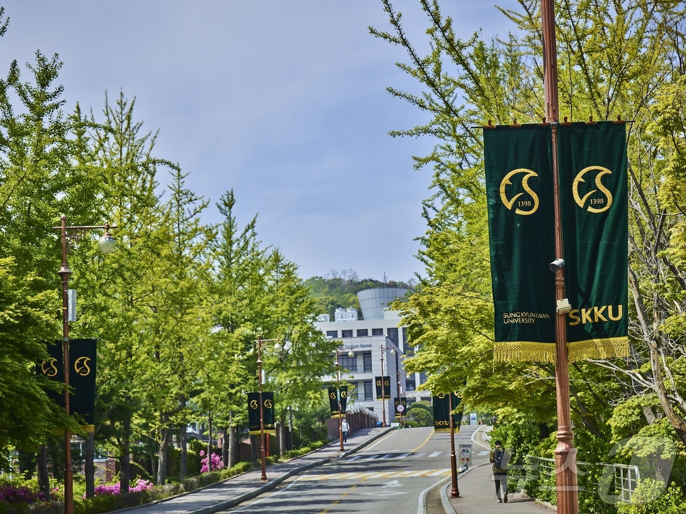 성균관대 전경.&#40;성균관대 제공&#41; ⓒ News1 장성희 기자