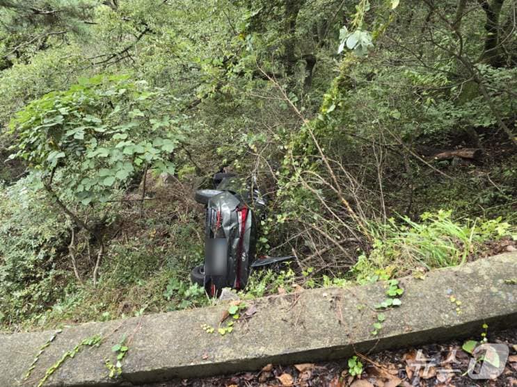 9일 오전 부산 석불사 인근 차량 추락 사고 현장.(부산 북부경찰서 제공. 재판매 및 DB 금지)