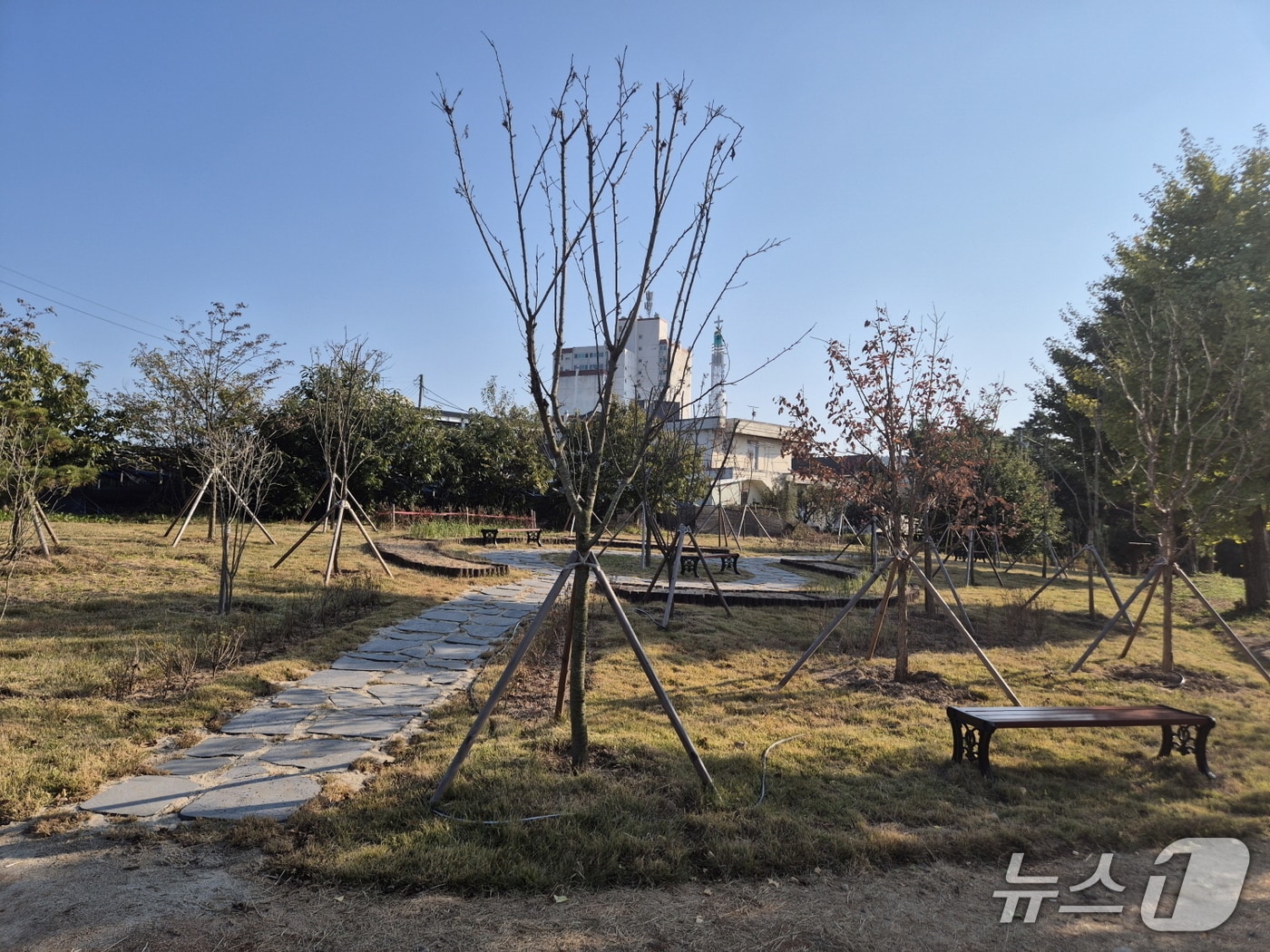 예산 삽교초등학교에 조성된 학교숲 모습. (예산군 제공, 재판매 및 DB금지)  /뉴스1
