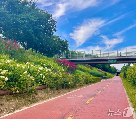 안양천 일대 생태·경관·환경이 어우러진 걷고 싶은 휴식공간으로 변신했다.(금천구 제공)