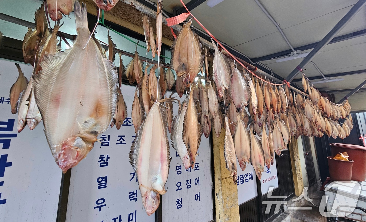 10일 경북 포항시 죽도어시장 상가의 처마 밑에 물가자미가 나란히 매달려 가을 햇살에 말라가고 있다. 2025.11.10/뉴스1 ⓒ News1 최창호 기자