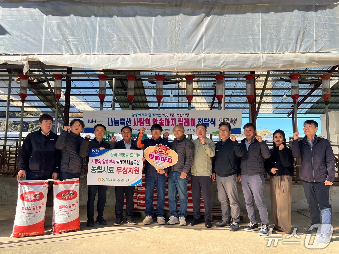 사랑의 암송아지 릴레이 전달식.(농협 강원본부 제공. 재판매 및 DB금지)/뉴스1