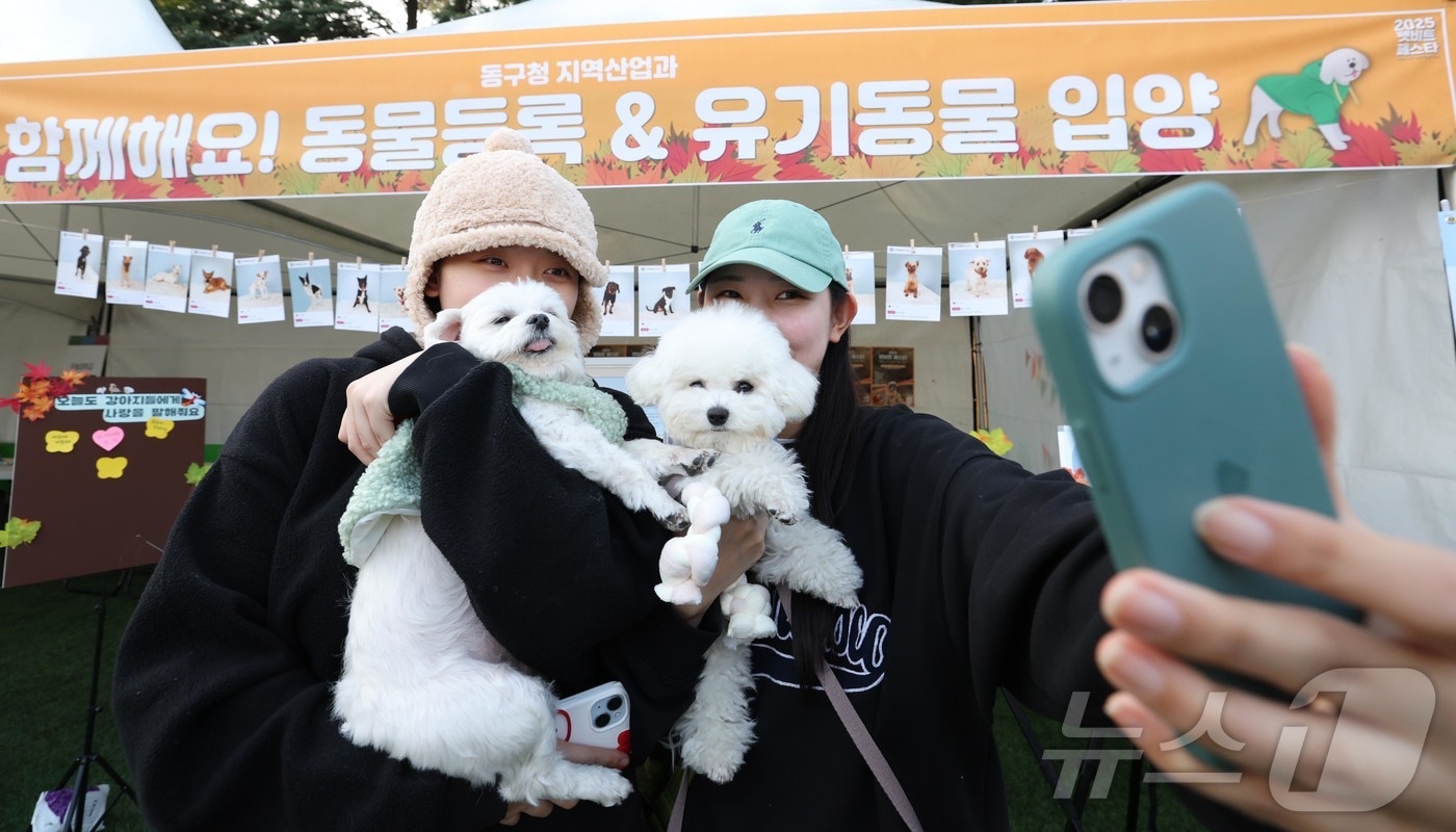 지난 9일 대전 동구 우송대학교 반려동물 놀이터에서 열린 ‘2025 펫비트 페스타’에서 주민들이 반려견과 함께 프로그램을 체험하고 있다.(동구 제공. 재판매 및 DB금지)2025.11.10/뉴스1