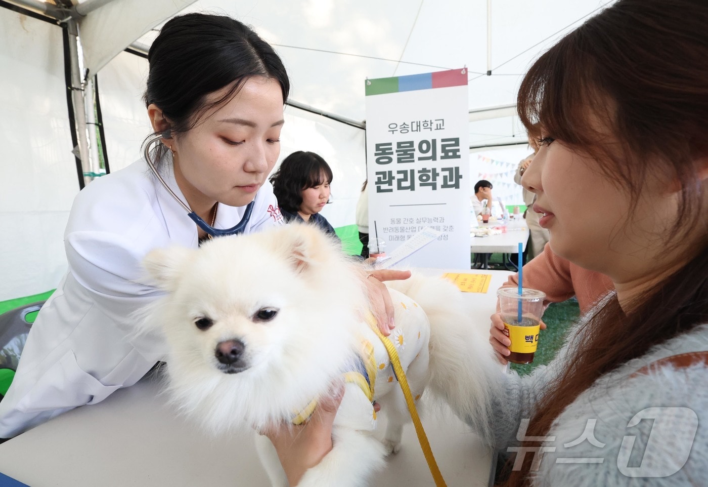  ‘2025 펫비트 페스타’에서 주민들이 반려견과 함께 프로그램을 체험하고 있다. 사진은 기사와 관련 없음. (뉴스1 DB. 재판매 및 DB금지)2025.11.10/뉴스1 ⓒ News1 김기태 기자