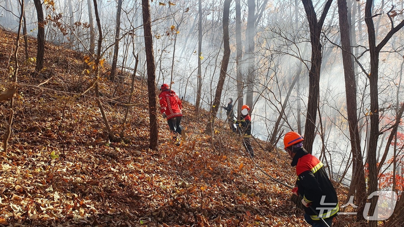 산불 진화 중인 산림 당국.(산림청 제공. 재판매 및 DB 금지)/뉴스1