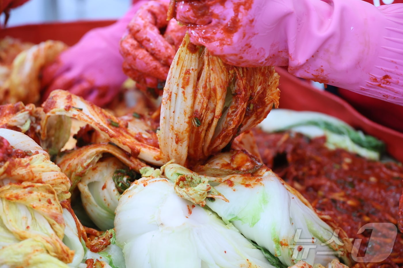 (사진은 기사 내용과 무관함) / 뉴스1 ⓒ News1