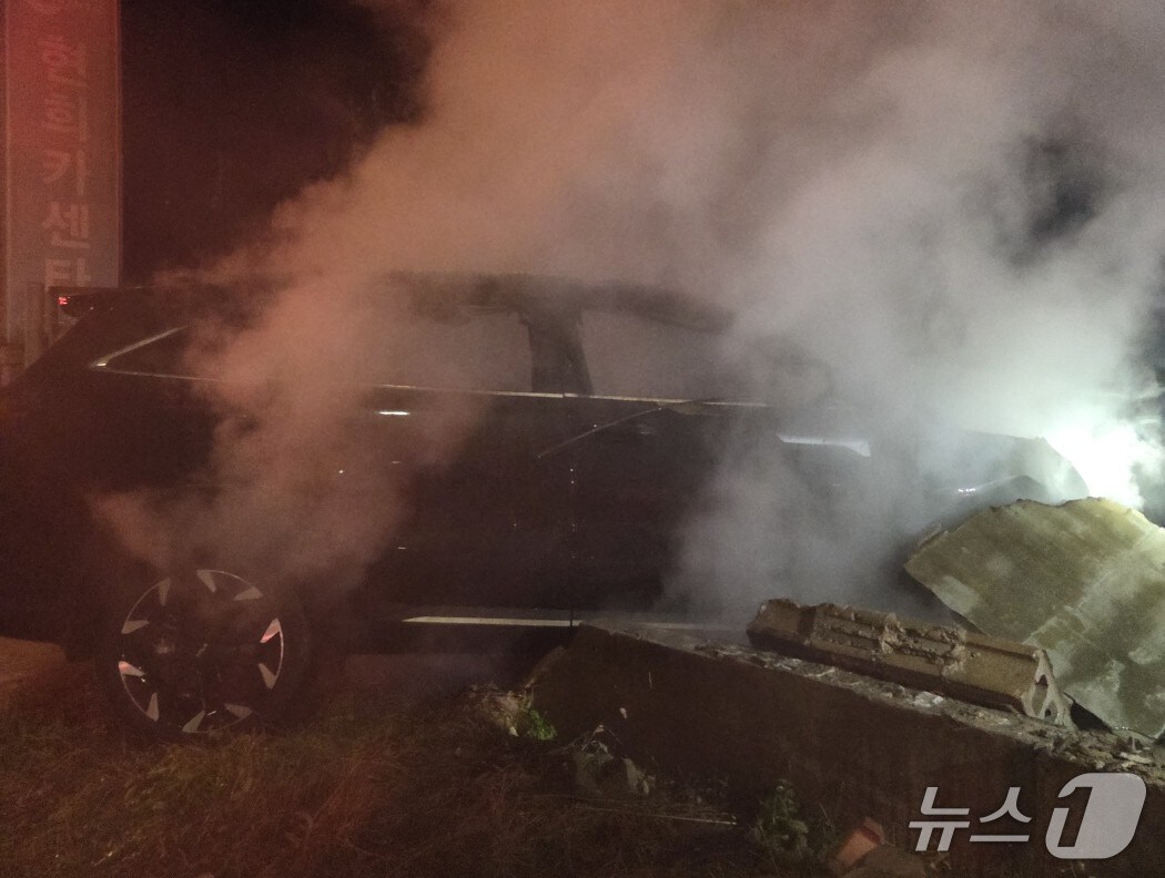 만취 20대, SUV 몰다 남의 집 대문 '쾅'…불까지 붙어 차량 전소 - 뉴스1