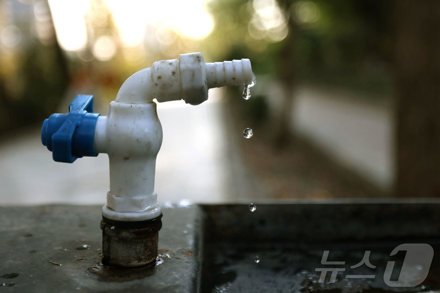 가뭄에 신음하는 이란, 저수율 한자릿수...테헤란 소개 가능성도 - 뉴스 썸네일 이미지