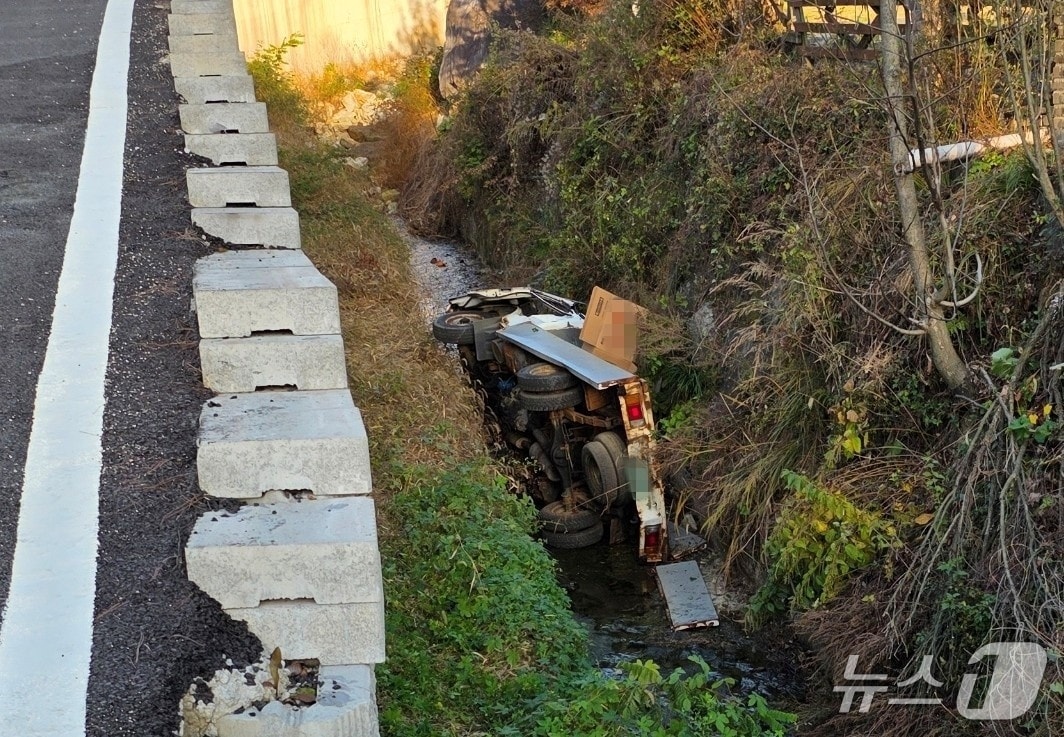 11일 오전 7시28분께 대전 유성구 노은동의 한 도로에서 1톤 트럭이 도로 옆 개울로 추락하는 사고가 발생했다.(대전소방본부 제공) /뉴스1