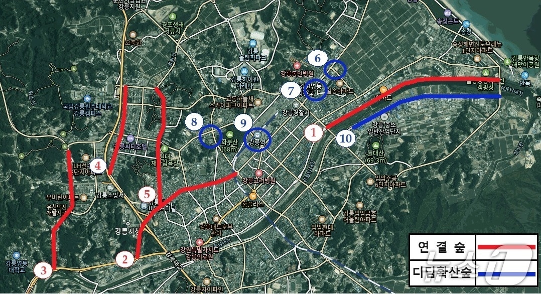 강릉 도시바람길 숲 조성 예정지 위치도.&#40;강릉시 제공, 재판매 및 DB 금지&#41; 2025.11.11/뉴스1