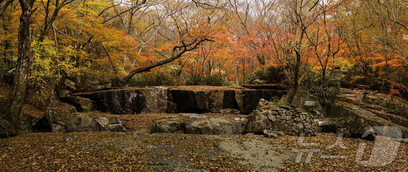 11일 전북 진안군 주천면에 소재한 운장산에 단풍이 물들고 있다.&#40;진안군제공. 재판매 및 DB금지&#41;2025.11.11/뉴스1 ⓒ News1 김동규 기자