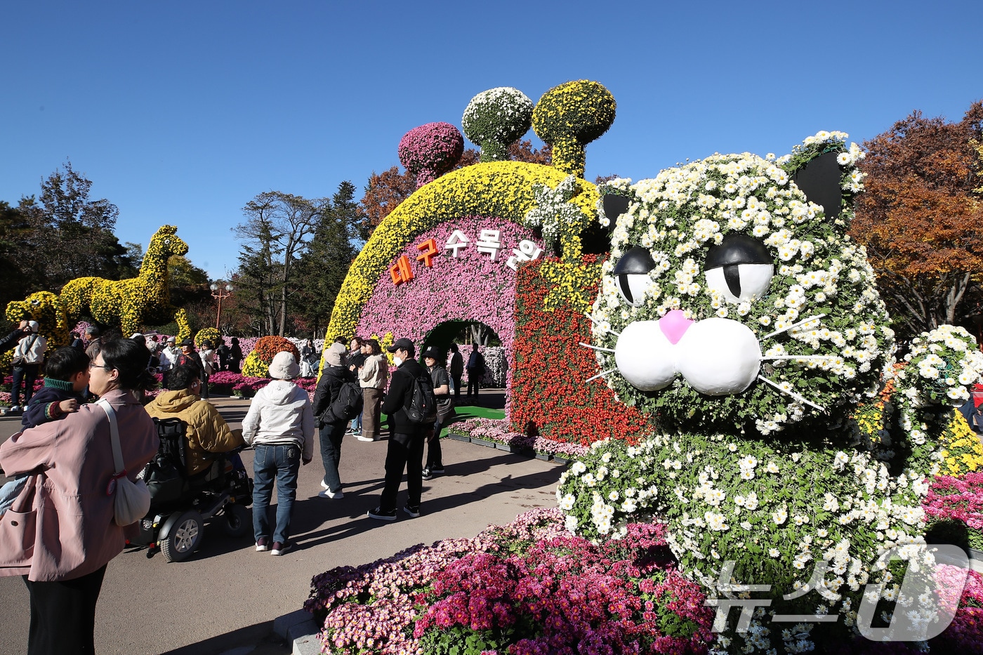 11일 오후 대구 달서구 대구수목원에서 열린 '제24회 국화전시회'에 형형색색 국화로 장식된 국화 작품을 보려는 인파로 붐비고 있다. 2025.11.11/뉴스1 ⓒ News1 공정식 기자