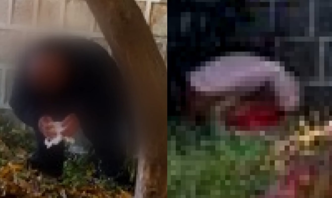 (JTHC '사건반장')