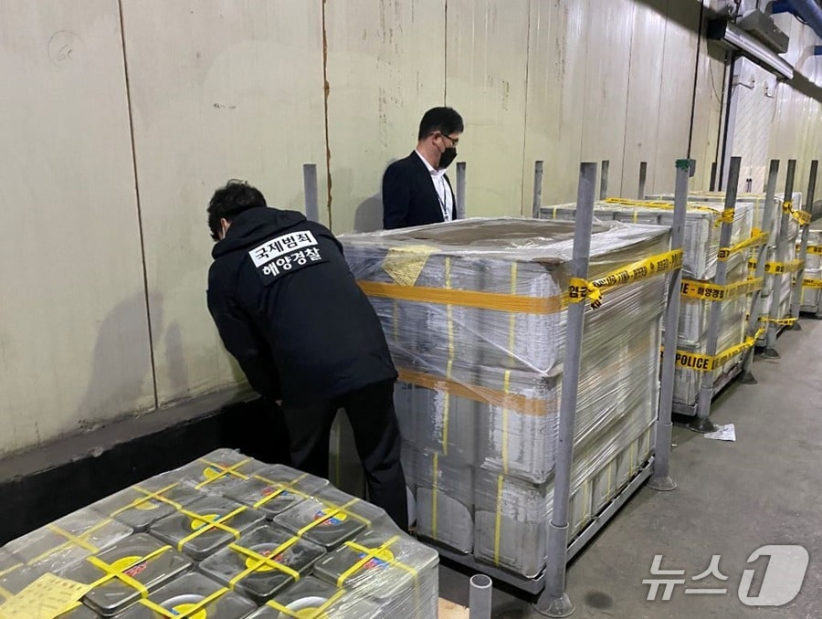 군산해경이 수입 수산물의 원산지 표시 등에 대한 특별 단속에 나선다.(군산해경 제공, 재판매 및 DB 금지)