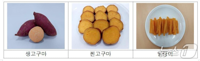2025년산 신품종 고구마 ‘호풍미’.(강원도농업기술원 제공, 재판매 및 DB금지)