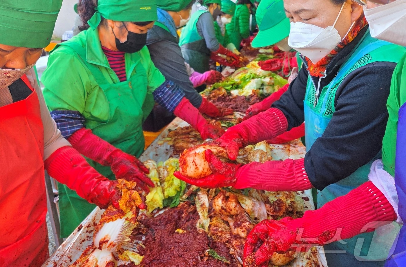 경북 영양군새마을회원 100여명이 취약계층에 전달할 김장김치를 담그고 있다.(영양군 제공. 재판매 및 DB금지) /뉴스1