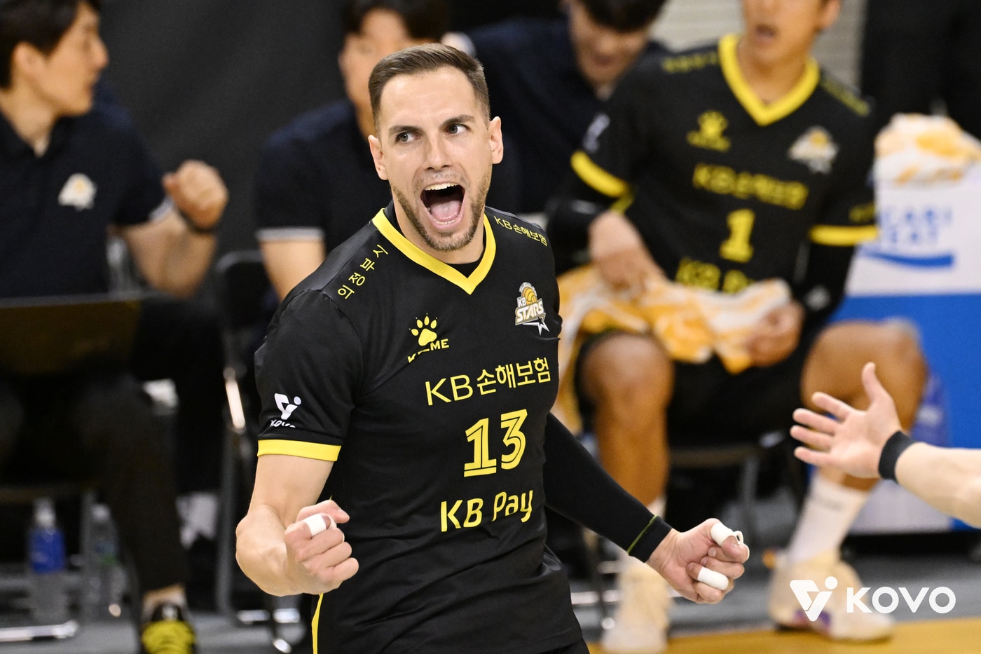 비예나(KOVO제공)