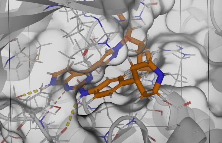 100억 유치 AI 신약개발 '히츠'…구글 '알파폴드' 잡는다