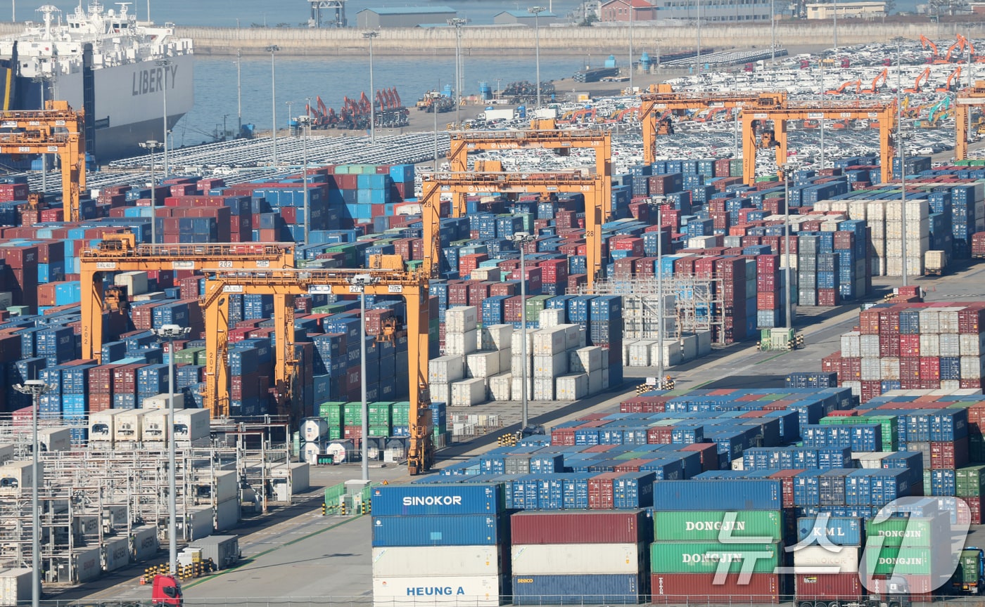 경기 평택시 포승읍 평택항에 수출용 컨테이너들이 쌓여있는 모습. 2025.11.14/뉴스1 ⓒ News1 김영운 기자