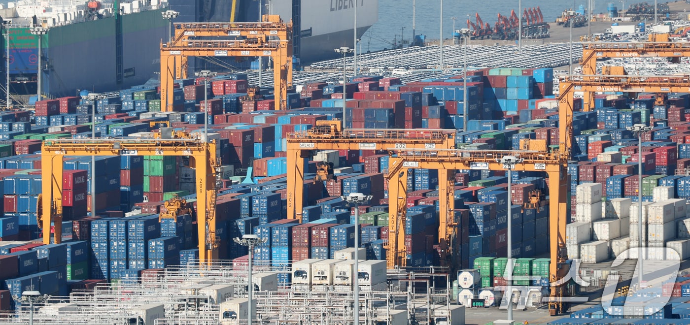 경기 평택시 포승읍 평택항에 수출용 컨테이너들이 쌓여있는 모습. 2025.11.14/뉴스1 ⓒ News1 김영운 기자