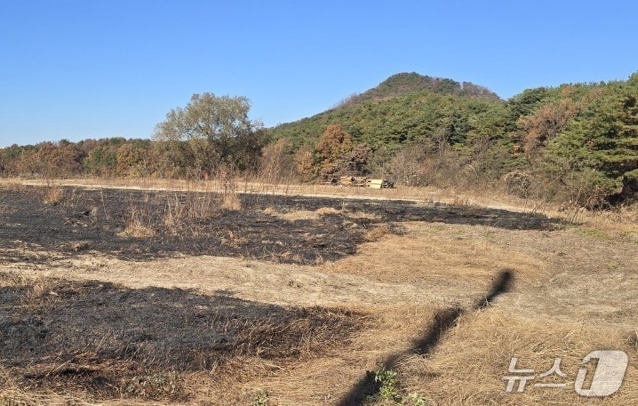 강원 춘천 신동면 정족리 일원 산림 인접지에서 영농부산물을 불법 소각 현장.(춘천시 제공, 재판매 및 DB금지)