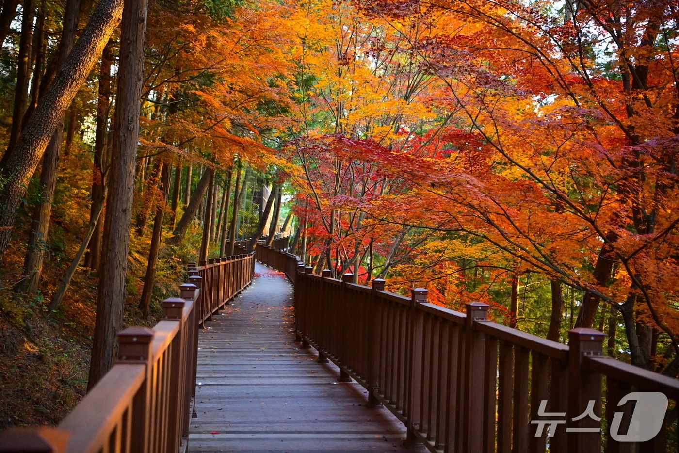 진주 진양호 노을길으 무장애 데크로드 구간&#40;진주시 제공. 재판매 및 DB금지&#41;.