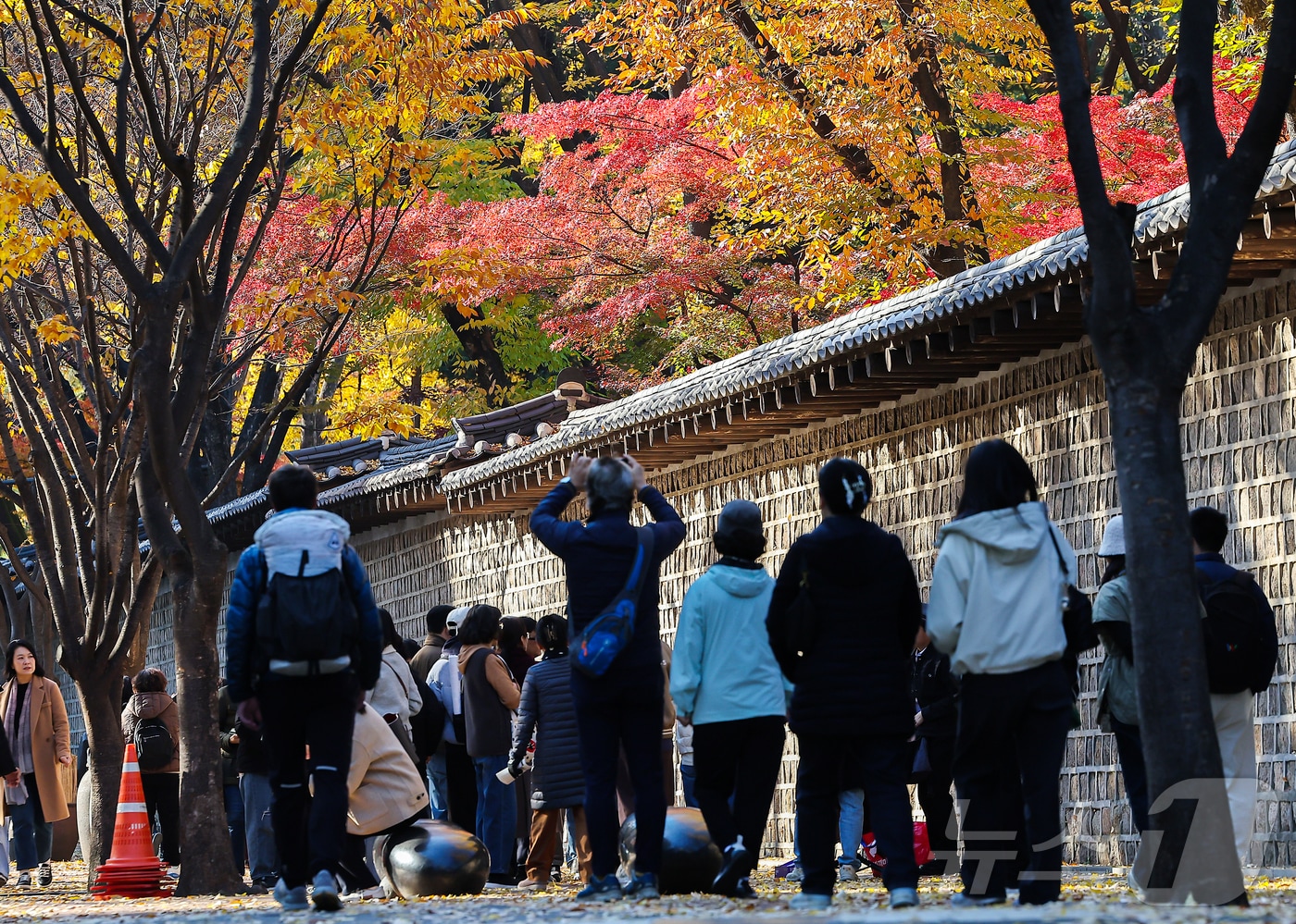서울 중구 덕수궁 돌담길에 단풍이 물든 가운데 시민들이 늦가을 정취를 즐기고 있다. 2025.11.14/뉴스1 ⓒ News1 김진환 기자