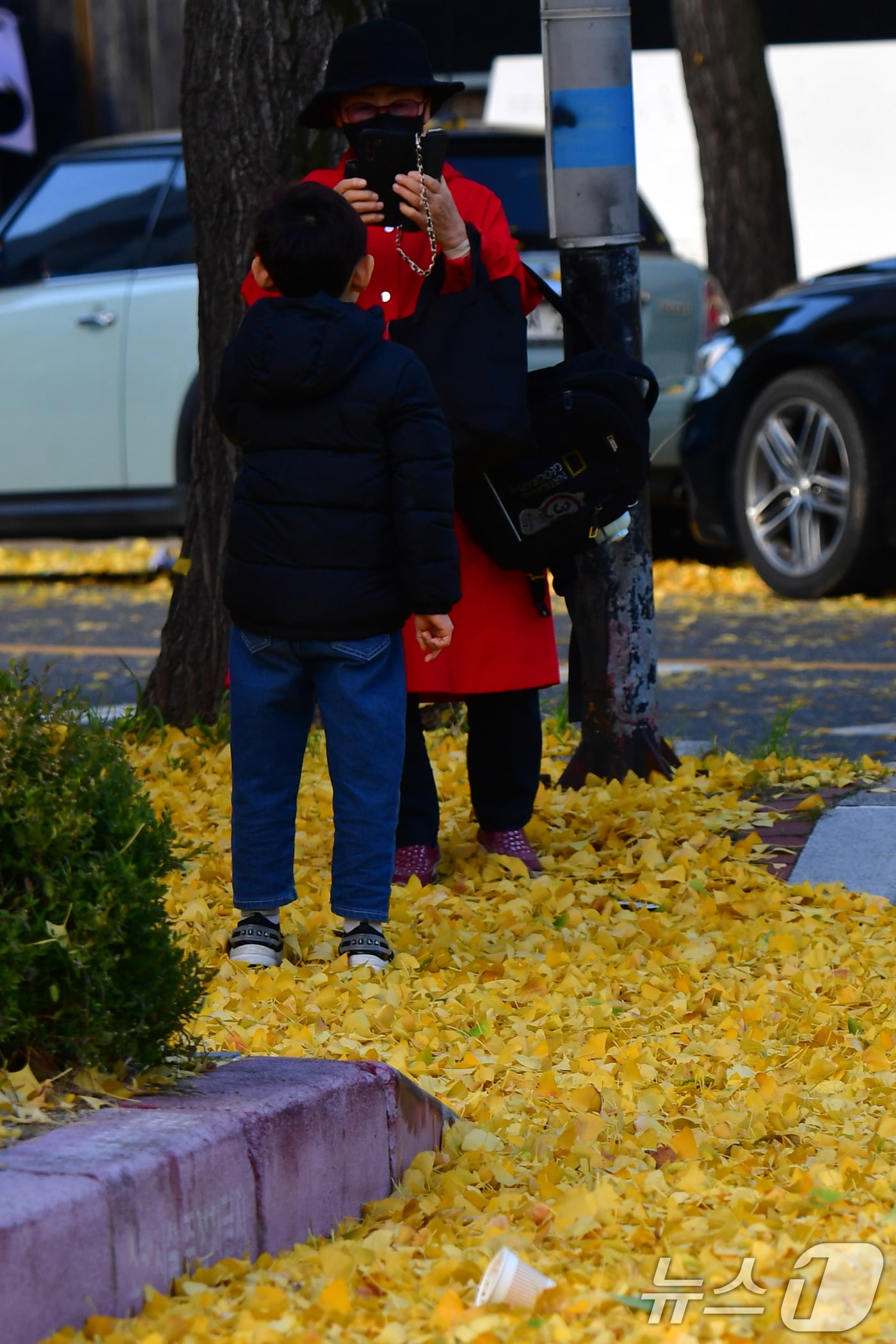 지난 17일 경북 포항시 북구 죽도동 도로에서 한 시민이 도로에 쌓인 은행잎을 배경으로 사진을 찍고 있다. ⓒ News1 최창호 기자