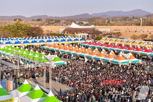 파주 장단콩 축제가 열리고 있는 임진각 광장. (파주시 제공, 재판매 및 DB금지)