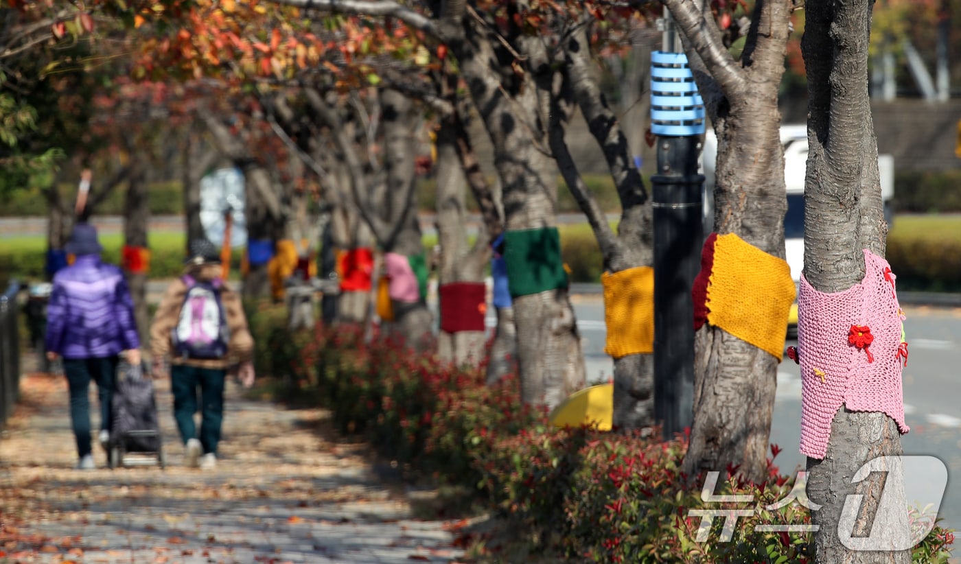 부산 북구 구포무장애숲길 인근 가로수에 뜨개옷이 입혀져 있다. 2025.11.17/뉴스1 ⓒ News1 윤일지 기자