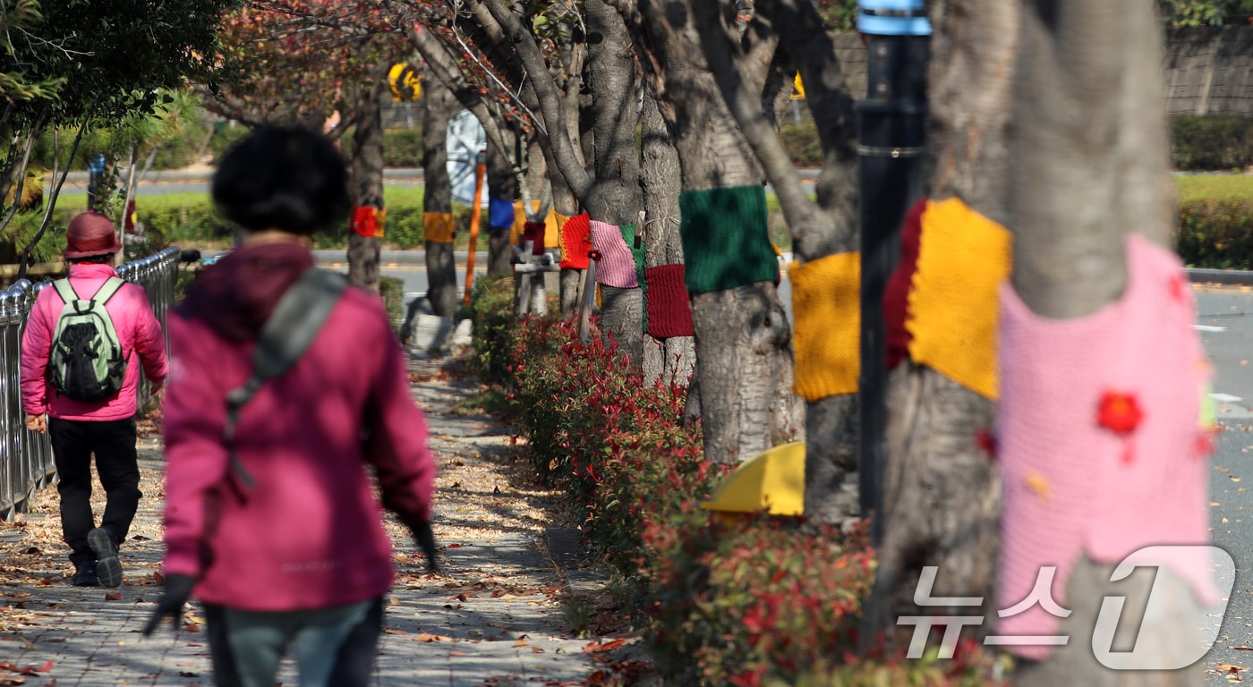 부산 북구 구포무장애숲길 인근 가로수에 뜨개옷이 입혀져 있다. 2025.11.17/뉴스1 ⓒ News1 윤일지 기자