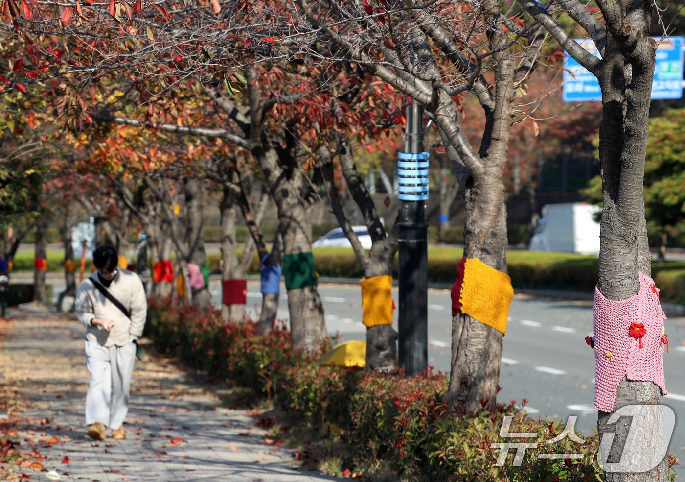 자료사진/뉴스1 ⓒ News1