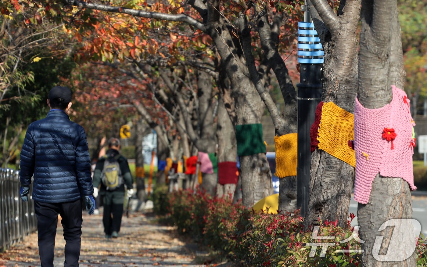 쌀쌀한 날씨를 보인 17일 부산 북구 구포무장애숲길 인근 가로수에 뜨개옷이 입혀져 있다. 기상청은 이날 오후 9시를 기해 부산 중부와 서부에 한파주의보를 발효한다고 밝혔다. 2025.11.17/뉴스1 ⓒ News1 윤일지 기자