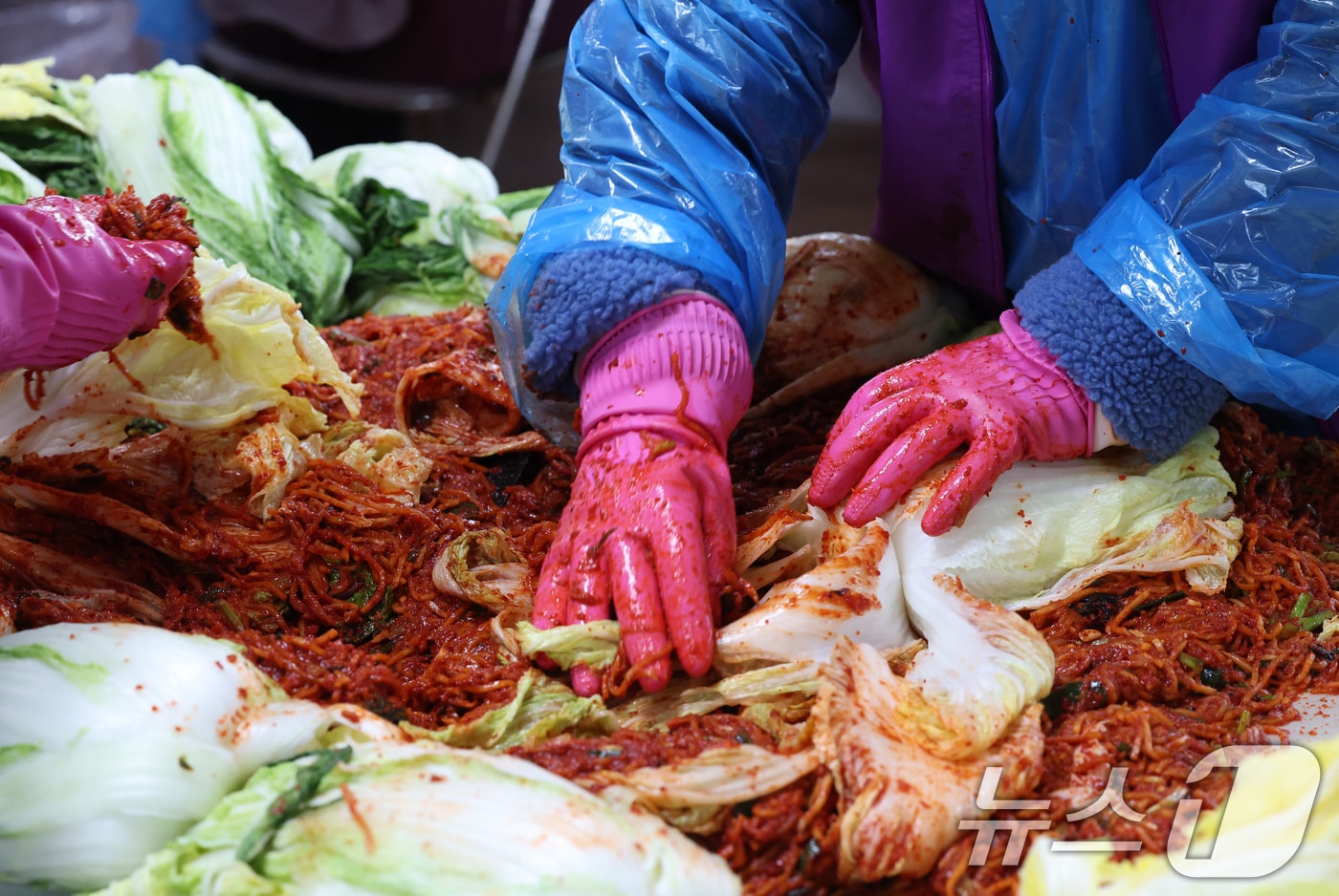 김장 자료사진. /뉴스1