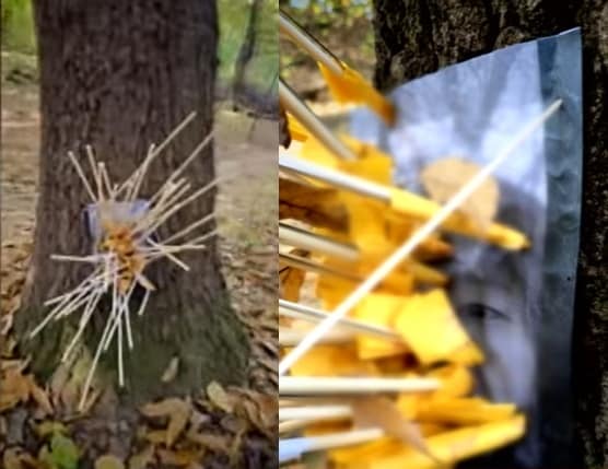 (JTBC '사건반장' 갈무리)