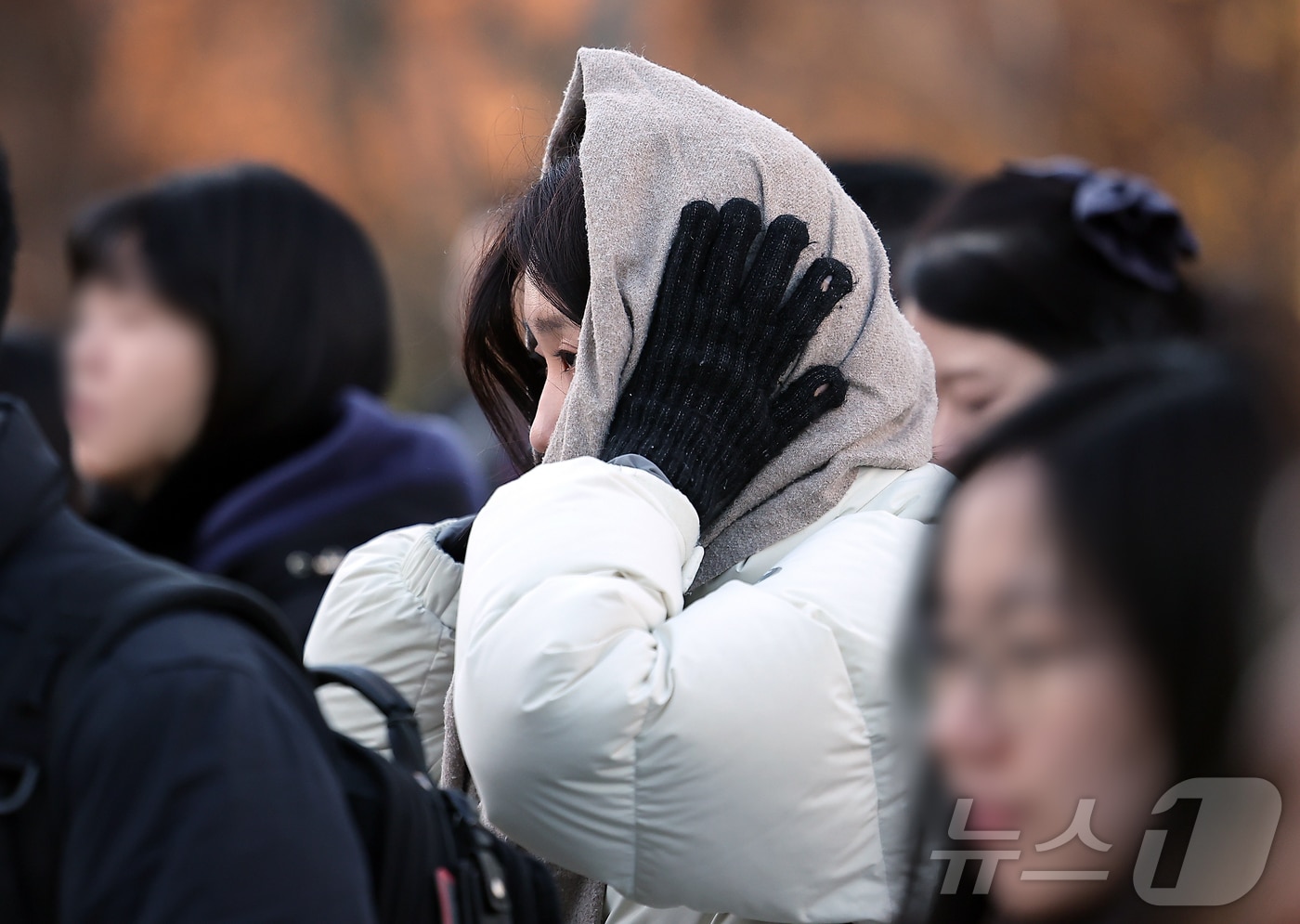 자료사진/뉴스1 ⓒ News1