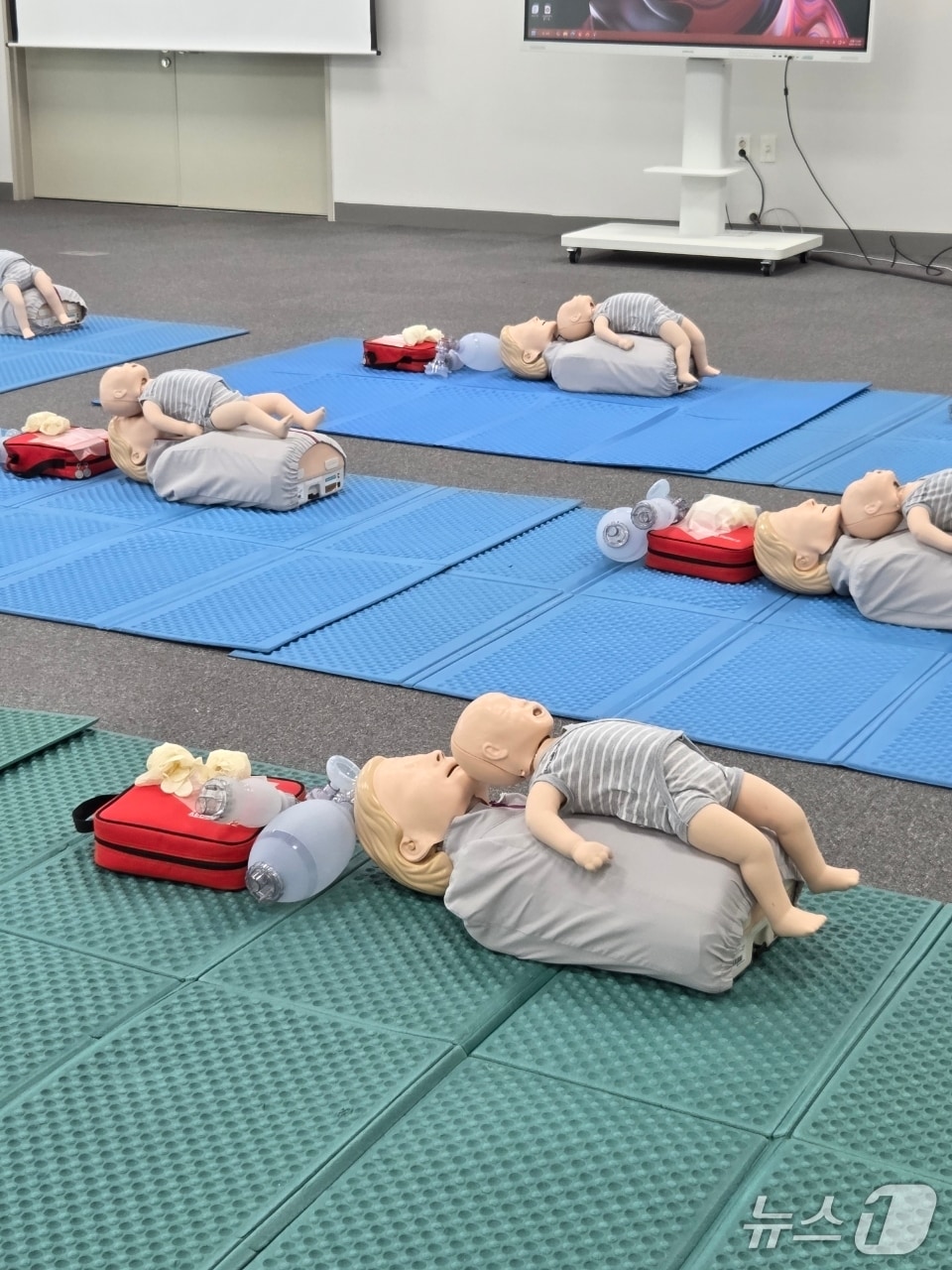 기본심폐소생술 인형 &#40;우송정보대 제공.재판매 및 DB금지&#41;/뉴스1