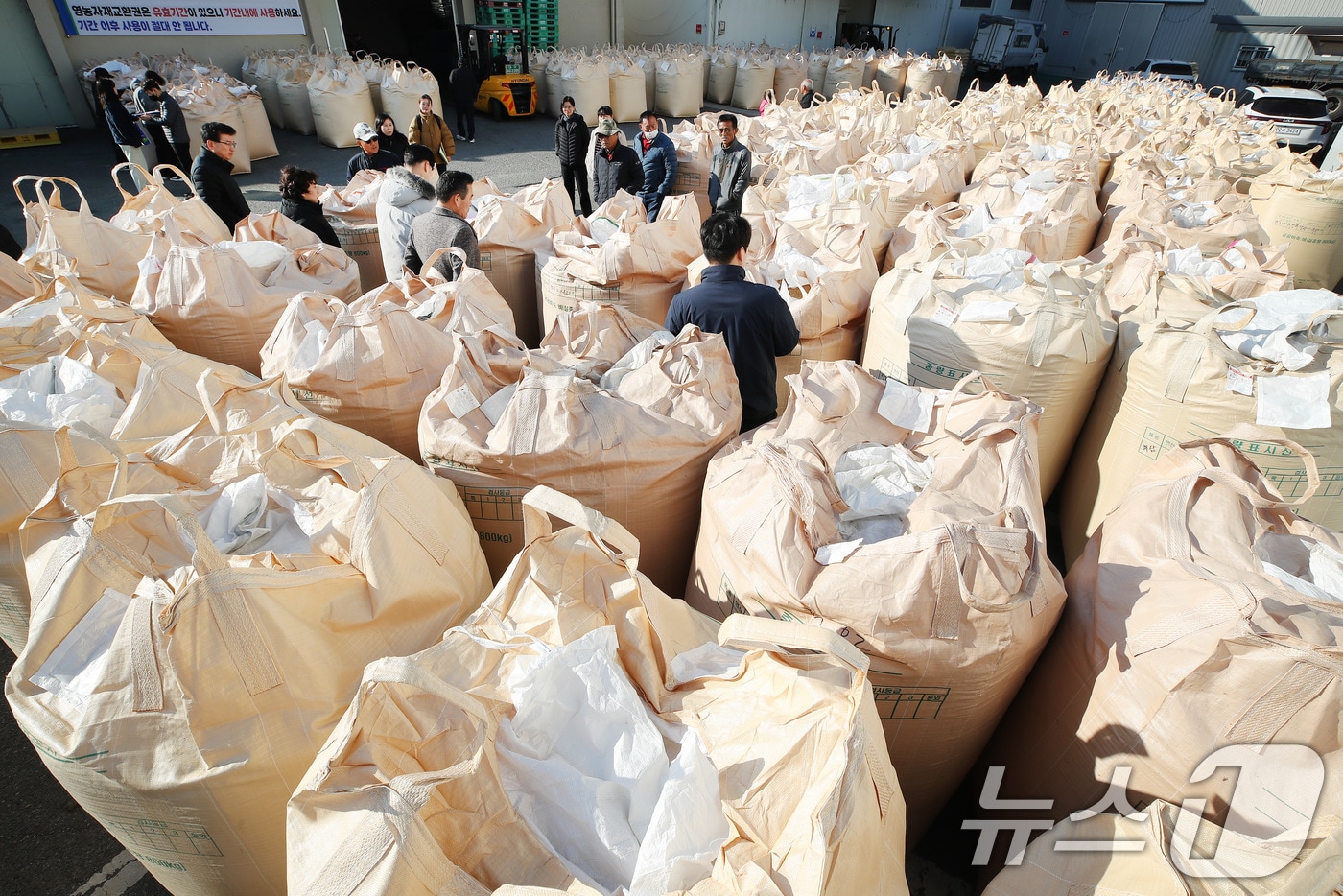 지난 18일 대구 달성군 유가읍 유가농협 본점에서 올해산 공공비축미곡(건조 벼) 매입이 진행되고 있다. 2025.11.18/뉴스1 ⓒ News1 공정식 기자