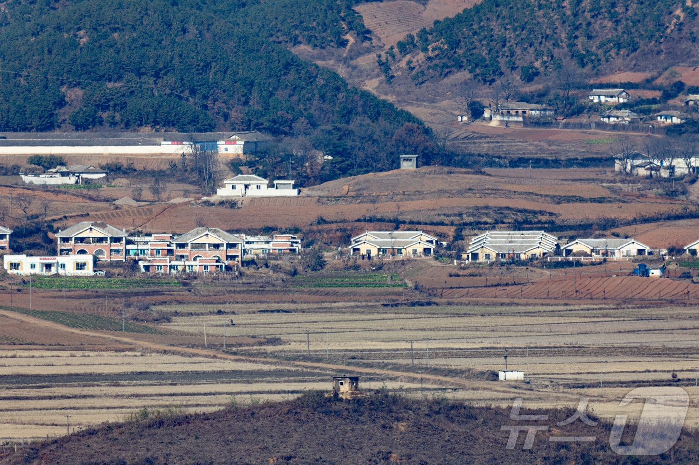 DMZ 생태 보전·남북 협력 논의...29일 '환경·생태 포럼' 개최 - 뉴스 썸네일 이미지