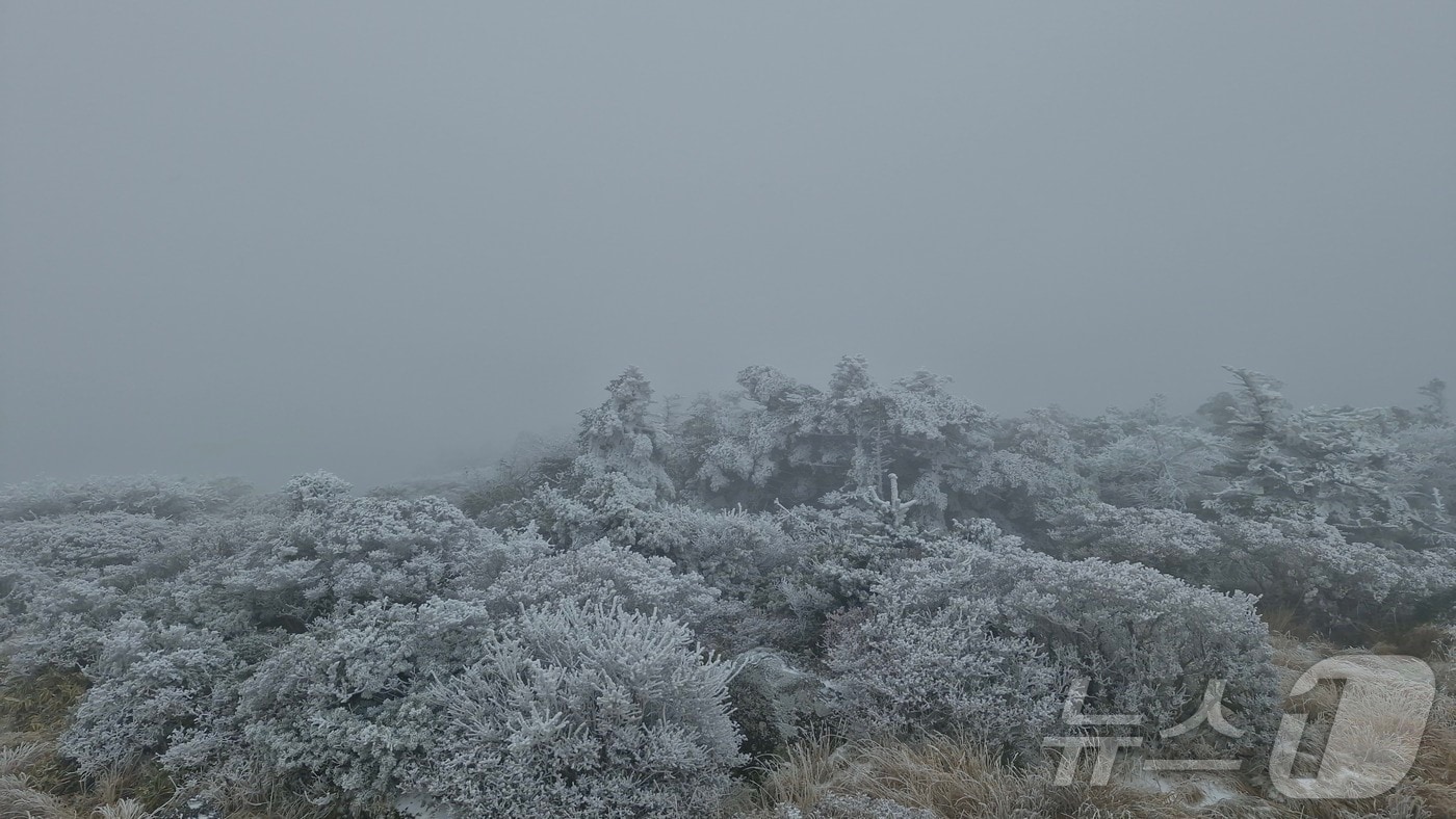 한라산에 눈이 내려 장관을 연출하고 있다.(한라산국립공원 김성황 씨 제공. 재판매 및 DB 금지)2025.11.18/뉴스1 ⓒ News1 홍수영 기자