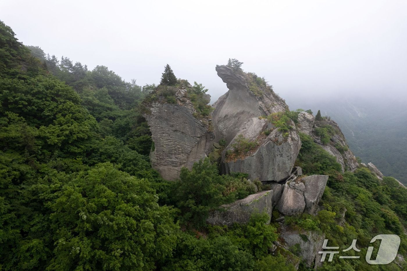 보성 용추동과 칼바위 일대의 전경. (보성군 제공. 재판매 및 DB금지)