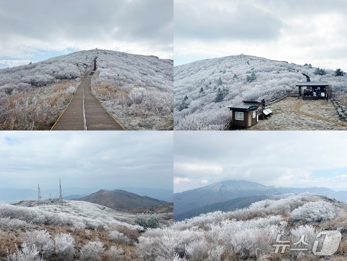 18일 오전 지리산 노고단 일원에 올해 첫 상고대가 형성됐다 &#40;지리산국립공원 제공&#41;