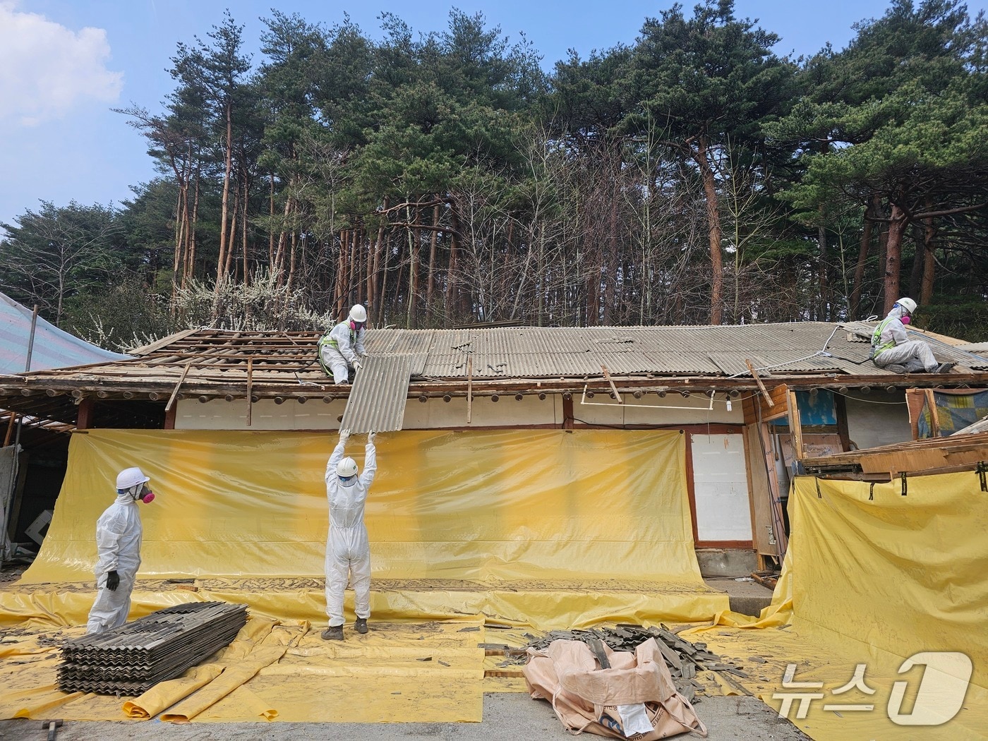 슬레이트 건축물 철거하는 강릉시 관계자들.&#40;강릉시 제공, 재판매 및 DB 금지&#41; 2025.11.19/뉴스1