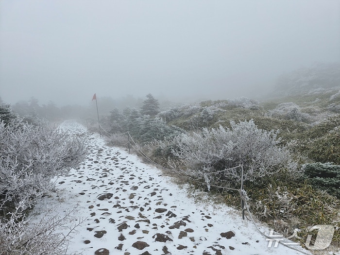  한라산에 내린 눈.(한라산국립공원관리소 제공. 재판매 및 DB 금지)/뉴스1