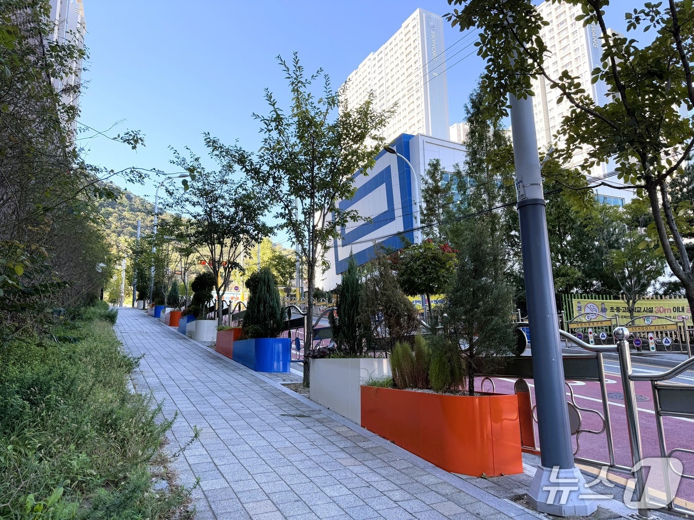 대구 달성군에 있는 서동초 인근에 조성된 그린숲.&#40;대구 달성군 제공. 재판매 및 DB금지&#41;