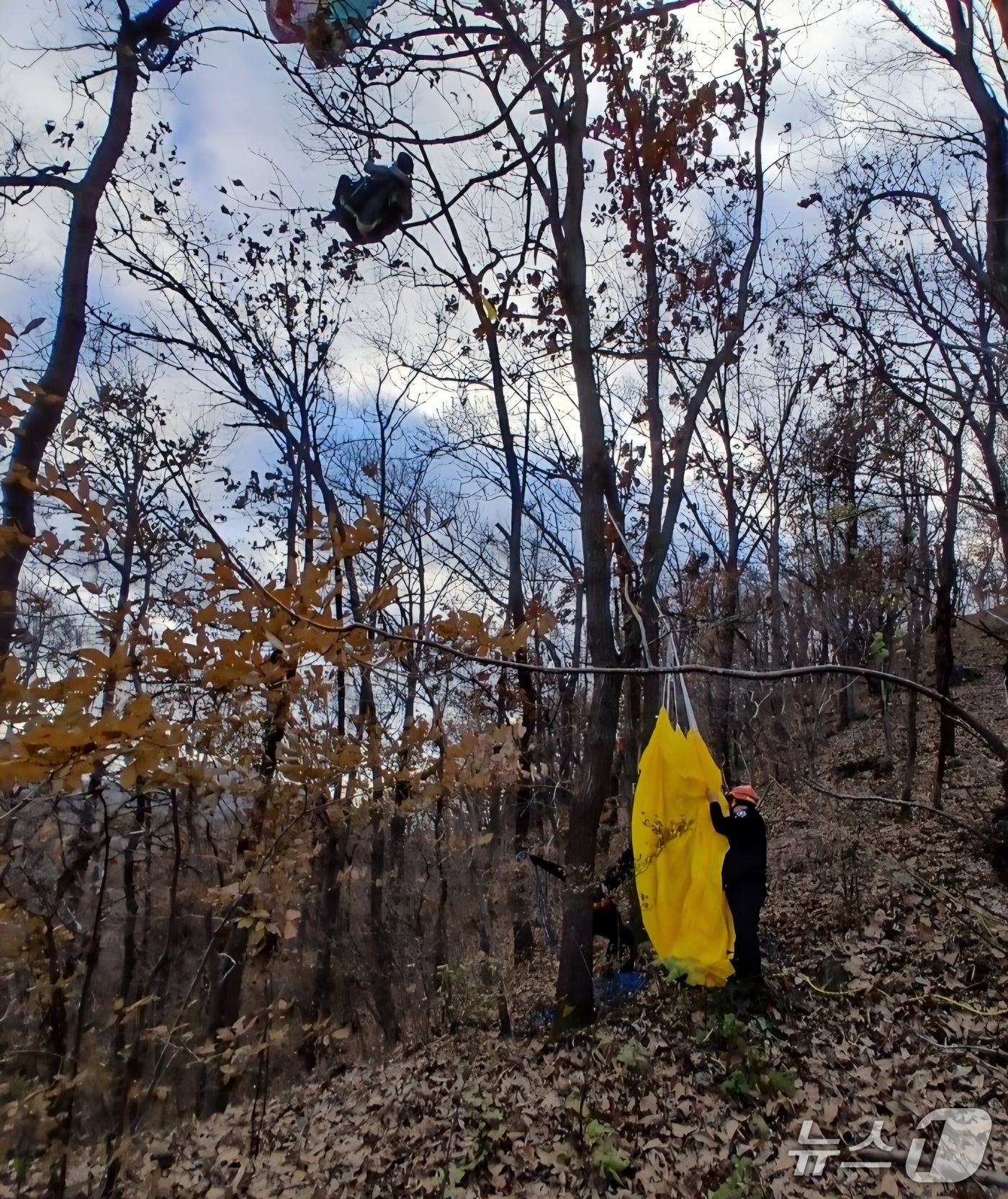 전북 임실군 신덕면의 한 야산에서 활강하던 60대가 나무에 걸려 50분만에 구조됐다. (전북소방본부 제공)/뉴스1