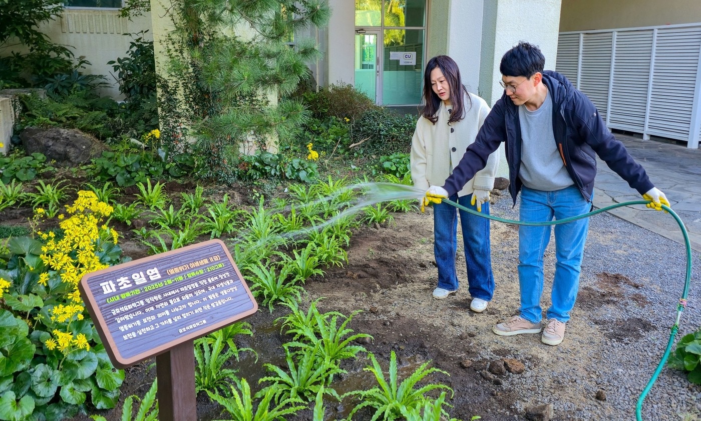 금호석유화학그룹 직원들이 금호제주리조트에 식재한 파초일엽에 물을 주고 있다&#40;금호석유화학 제공&#41;. ⓒ 뉴스1